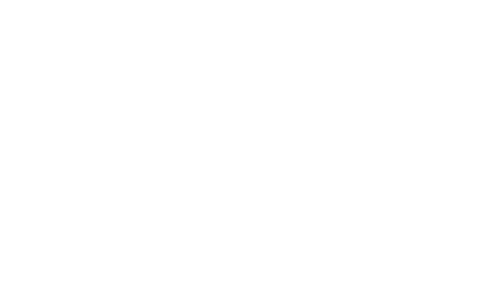 SG APPLICATORE PARTNER 3
