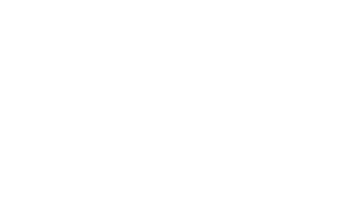 SG APPLICATORE PARTNER 8