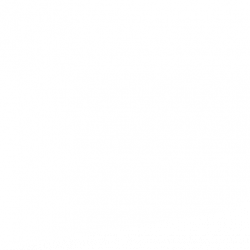 shapes shapes